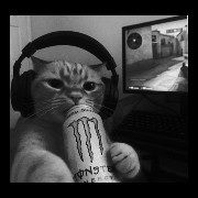 cat w monster: