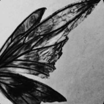 wings