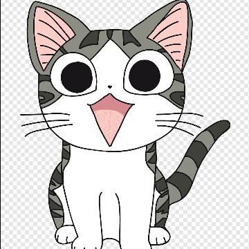 gato chi 009