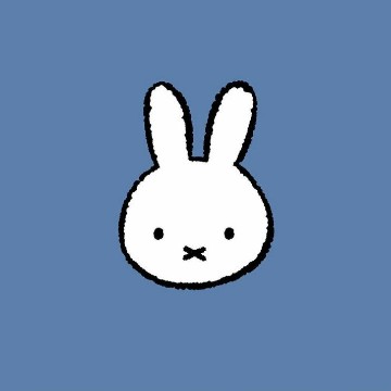 widget Rabbit 