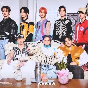 5-star stray kids 