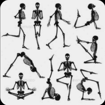 yoga skeleton 