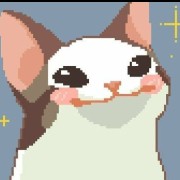 pop cat