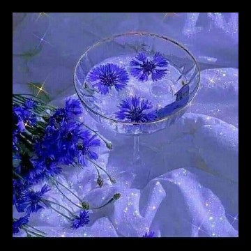 flower blue