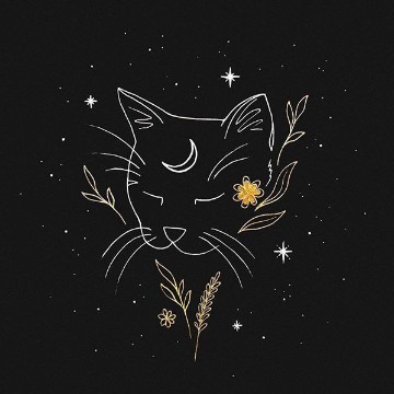 gato lunar