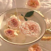 roses in a cup