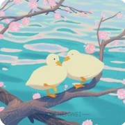 duck