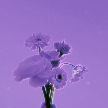 purple flower
