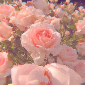 asthetic pink
