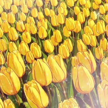 Tulip