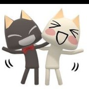 Cat buddies