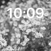 grey flowers