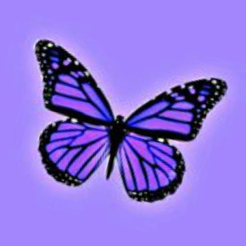 Untitled widget Copy