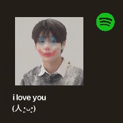 spotify widget 