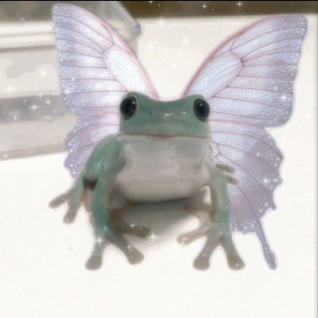 Frog Butterfly