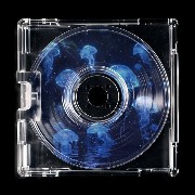 ocean vinil