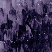 purple widd