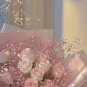 aesthetic rose