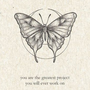 butterfly