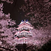 japan vibes