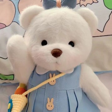 bear cute widget 