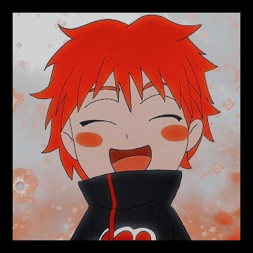 Sasori 13344555