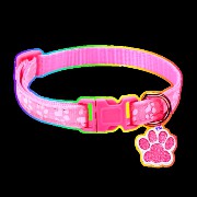 Puppy collar :3