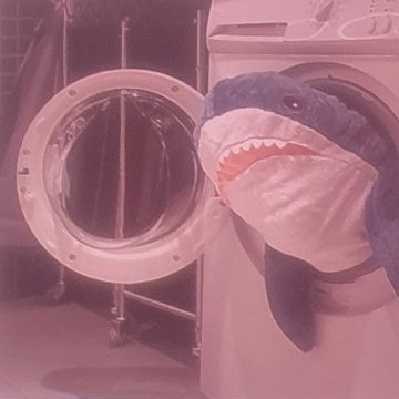 sharkie