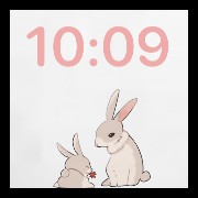 rabbit