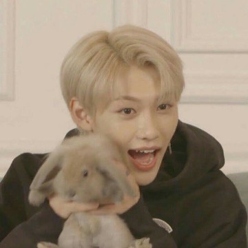 Felix 