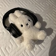 bunny plush
