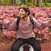 Louis Tomlinson 