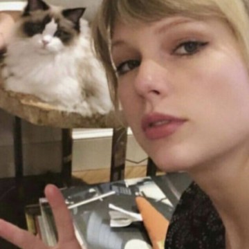 taylor