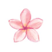 flower Cutie
