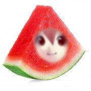 watermelon teto