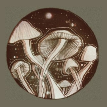 night mushroom w/ background 