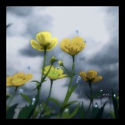 Weathering With You 