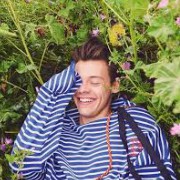 harry styles 