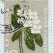 flower widget
