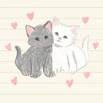 cute widget