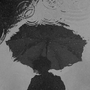rain widget