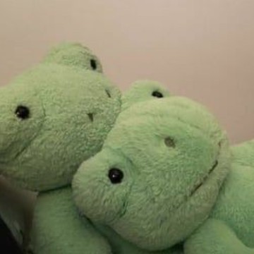 Green aesthetic Copy