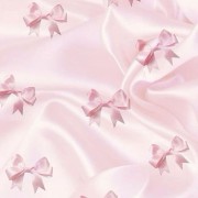 coquette bow pknk
