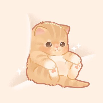 cute cat