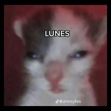 Ya es lunes :
