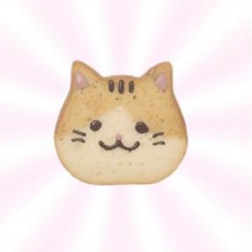 cute pink cat widget