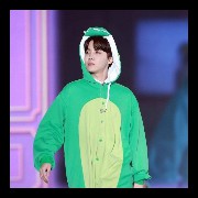 bts with animal hoodies