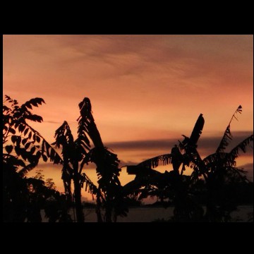 midnight