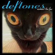 Deftones cat cover