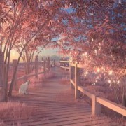 dream